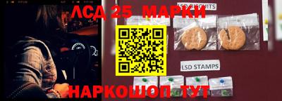 индика Гусиноозёрск