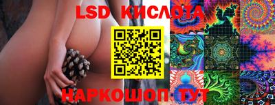 дживик Донской