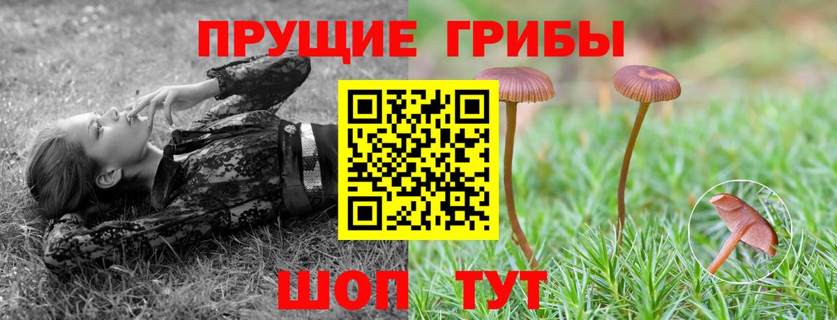 Псилоцибиновые грибы Psilocybe  Вход с VPN  Каспийск 