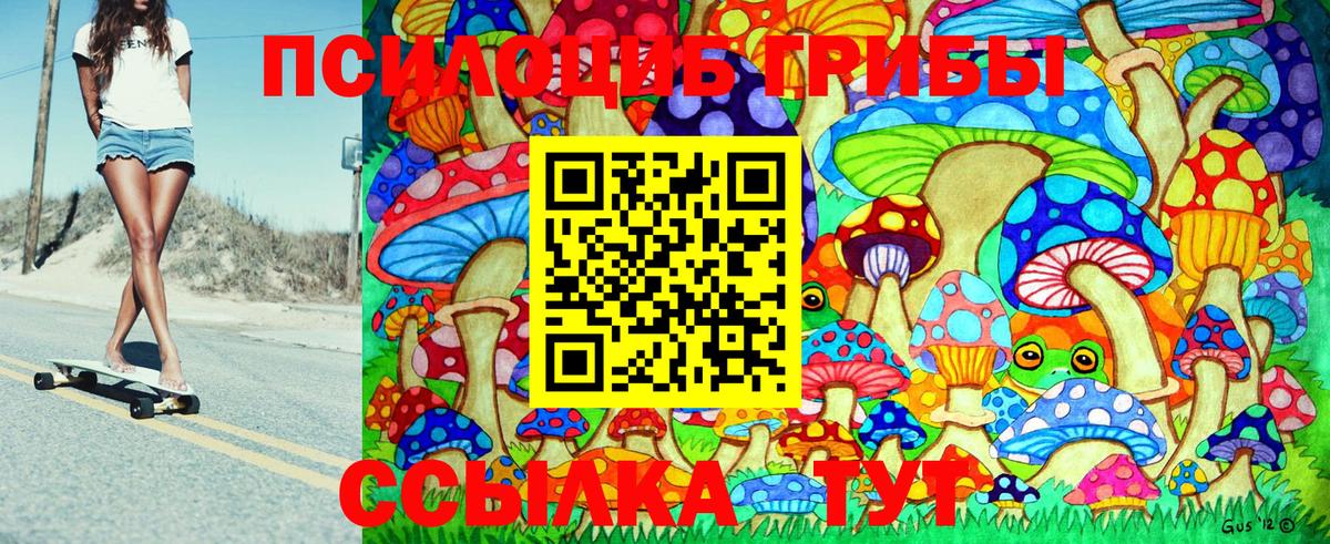 Галлюциногенные грибы Psilocybine cubensis Каспийск